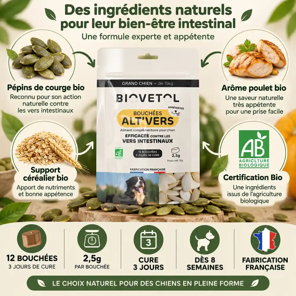 Bouchées Alt'Vers Bio vermifuge grand chien avec pépins de courge, ingrédients bio et certification française