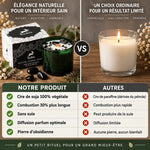 Bougie soja Hop Hare obsidienne vs paraffine - Comparaison cire végétale et combustion longue durée