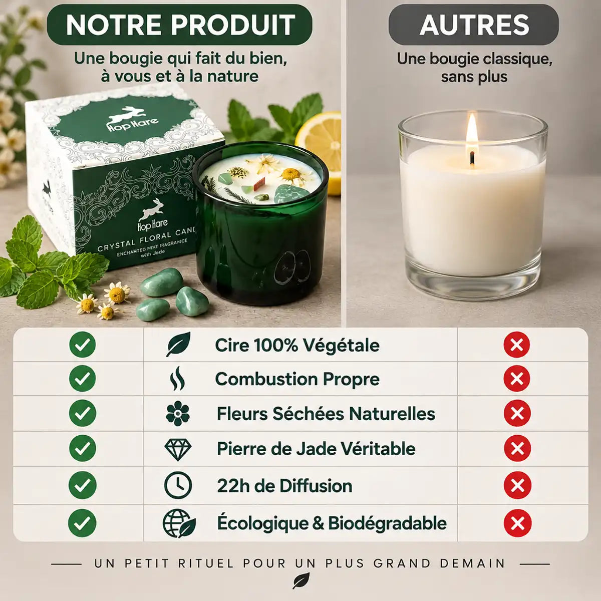Bougie cire soja Hop Hare menthe citron vs autres : comparaison fleurs séchées et jade naturel