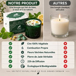Bougie cire soja Hop Hare menthe citron vs autres : comparaison fleurs séchées et jade naturel