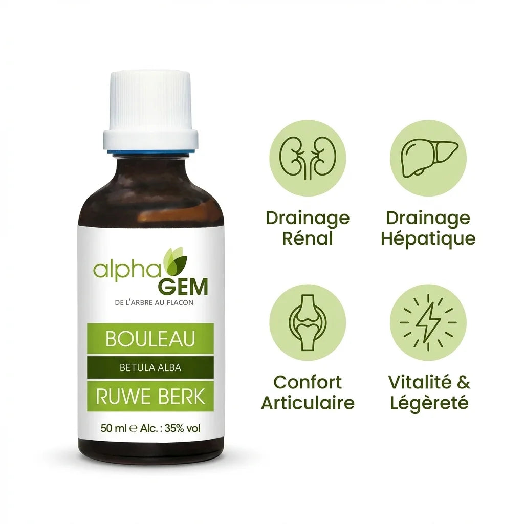 Bouleau Bio 50ml Alphagem avec bénéfices : drainage rénal, hépatique, confort articulaire et vitalité