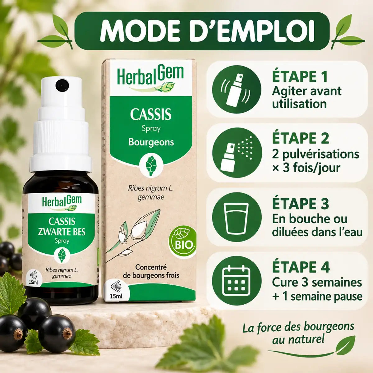 Spray Bourgeon Cassis bio HerbalGem 15ml avec mode d'emploi - 2 pulvérisations 3 fois par jour