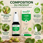 Spray Cassis bio HerbalGem 15ml avec bourgeons frais, emballage certifié et composition naturelle
