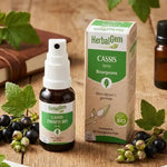 Spray Bourgeon de Cassis bio HerbalGem 15ml entouré de bourgeons frais et feuilles vertes