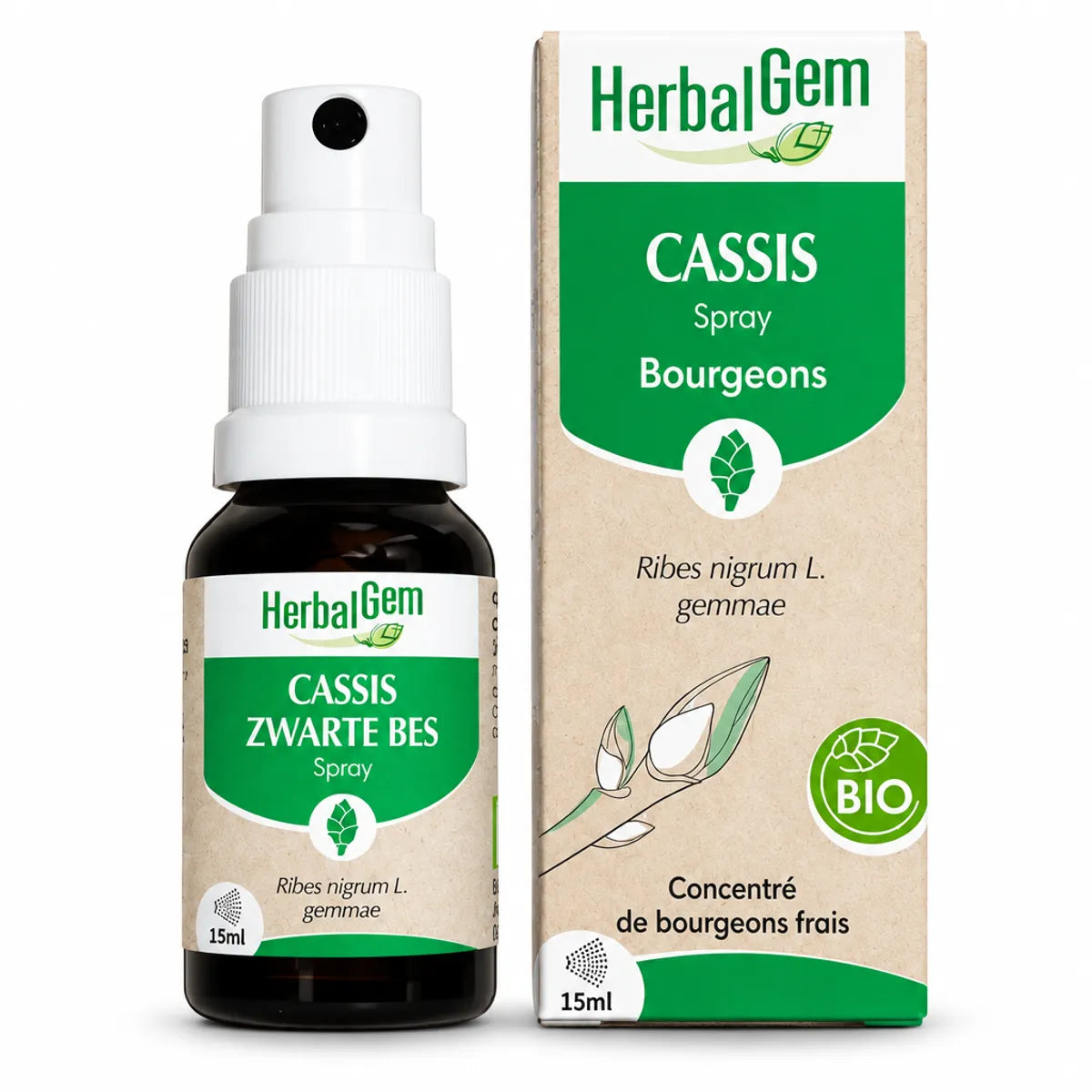 Spray Bourgeon de Cassis bio HerbalGem 15 ml avec pompe, flacon verre foncé et label vert, certifié BIO