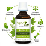 Bourgeons Érable bio 50ml Alphagem avec icônes drainage hépatique, équilibre métabolique et digestion