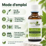 Flacon ambré Bourgeons Érable champêtre Bio 50 ml Alphagem, avec mode d'emploi en 4 étapes : 5 à 15 gouttes par jour, entre les repas.