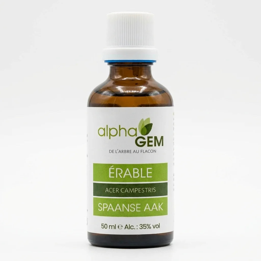 Bourgeons Erable champêtre Bio 50ml Alphagem - Flacon verre ambré avec bouchon blanc
