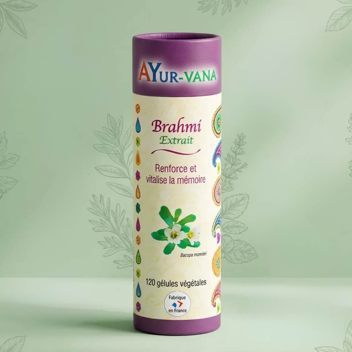 Bacopa Monnieri (Brahmi) 500mg - 120 Capsules - Aide Mémoire & Concentration - Végétalien UK