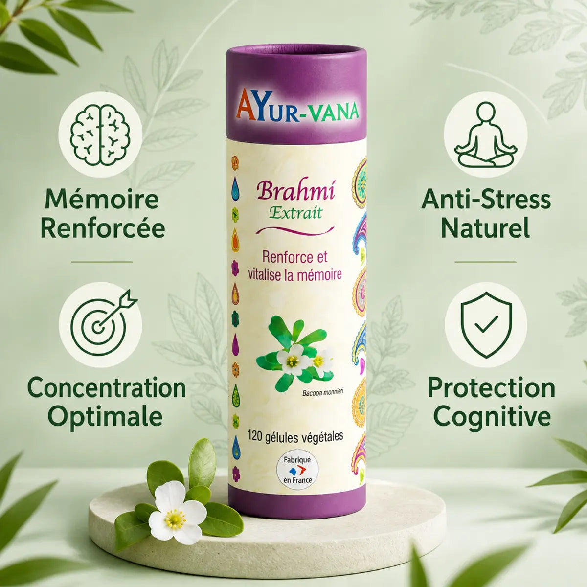 Brahmi Bacopa monnieri 120 gélules AyurVana - Mémoire, concentration et protection cognitive naturelle