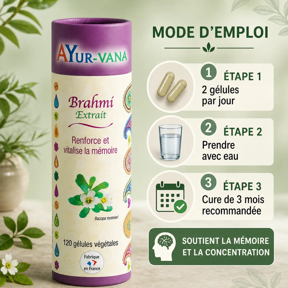 Brahmi Bacopa monnieri 120 gélules AyurVana avec mode d'emploi - supplément mémoire et concentration