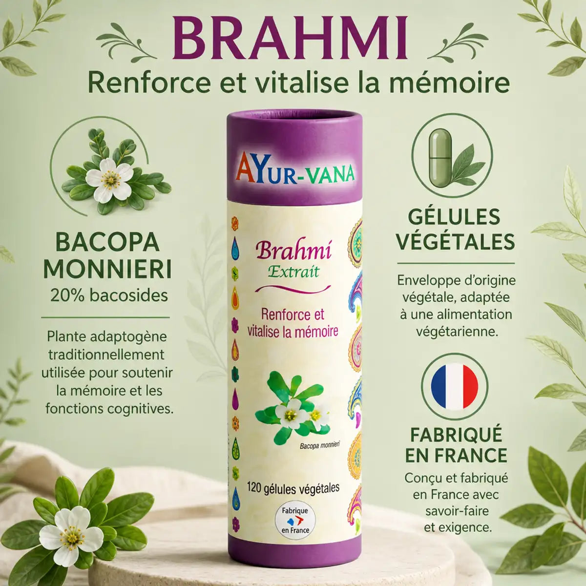 Brahmi Bacopa monnieri 120 gélules AyurVana - Complément mémoire en packaging purple avec ingrédients