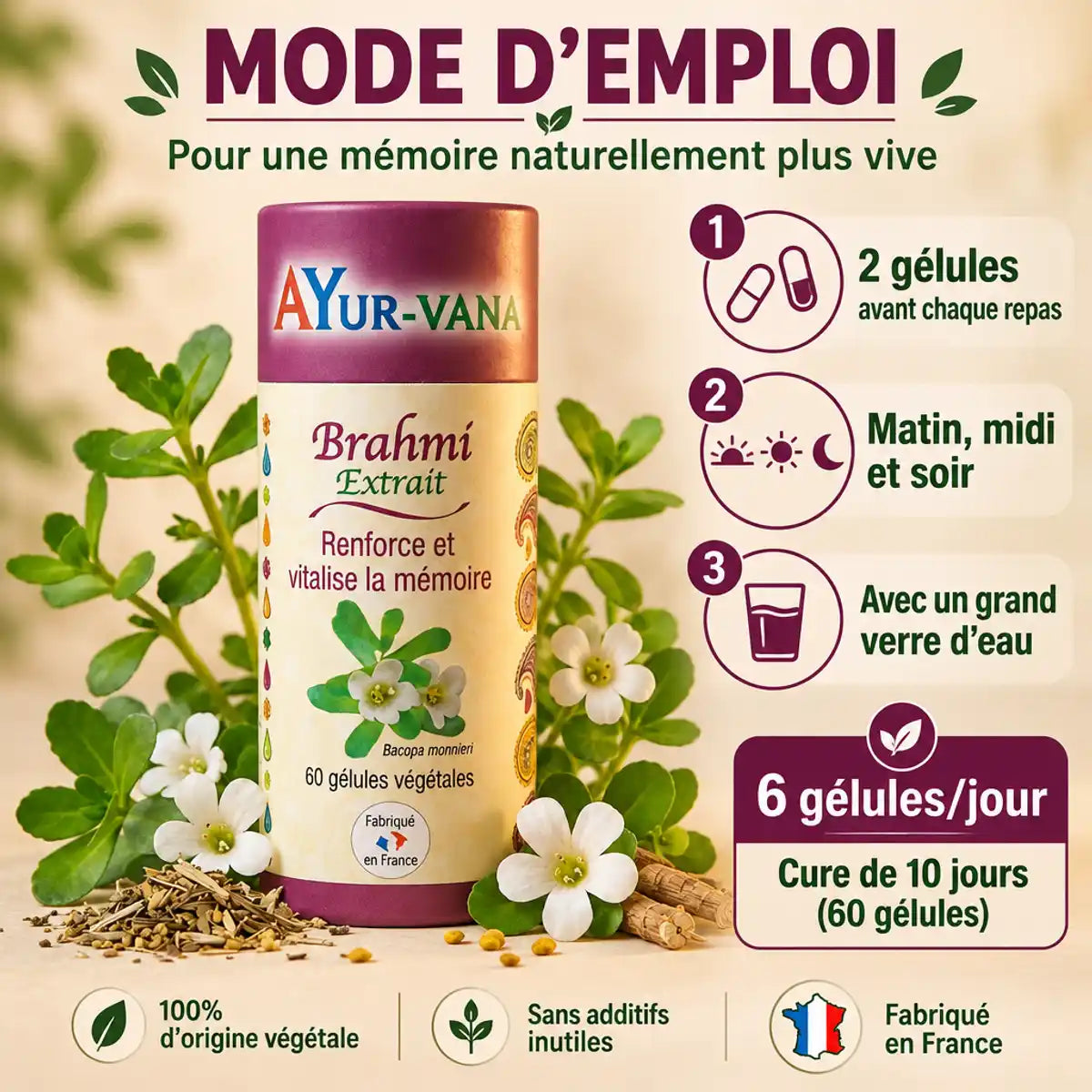 Brahmi Bacopa monnieri AyurVana 60 gélules pour la mémoire, avec mode d'emploi et plants frais de bacopa