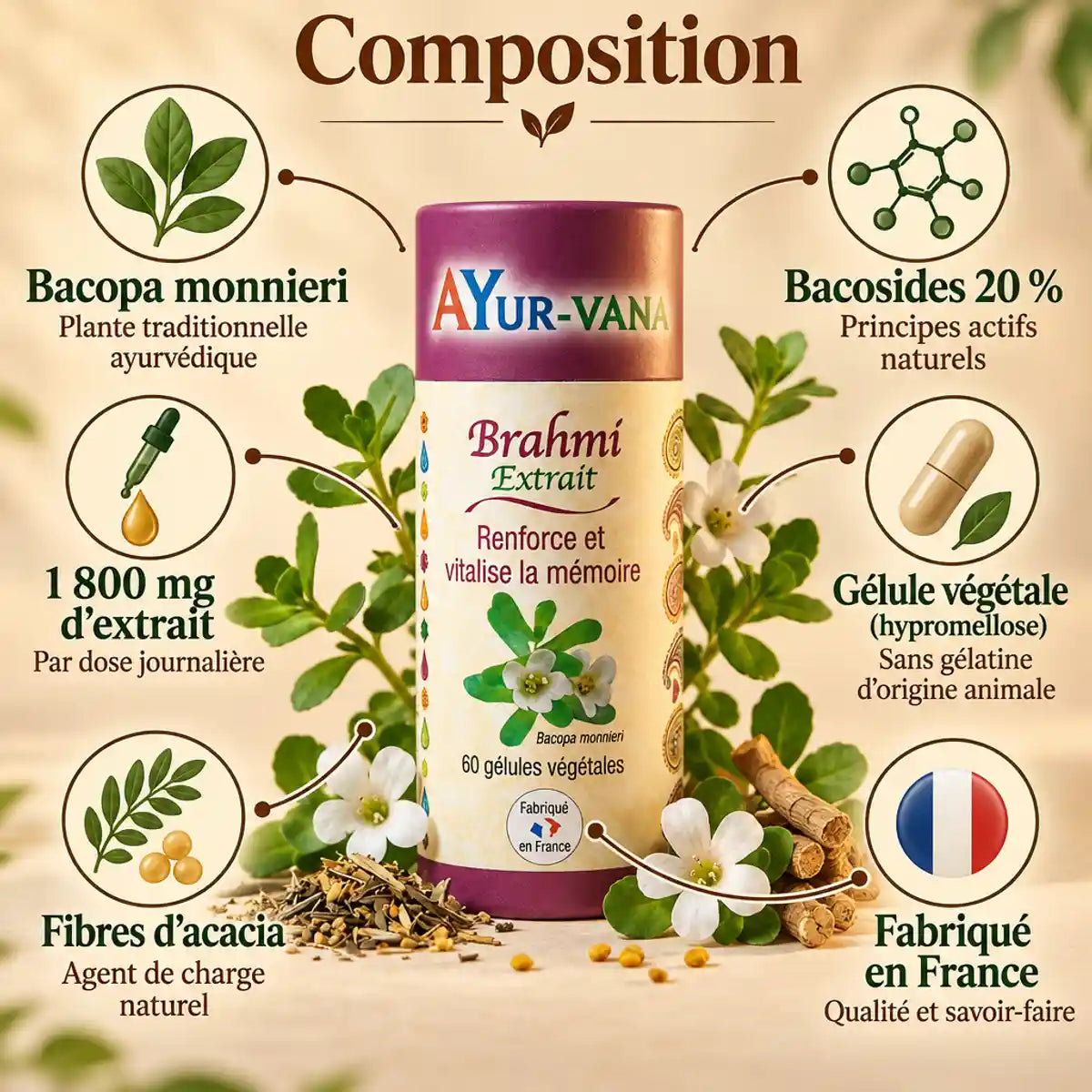 Gélules Brahmi Bacopa monnieri AyurVana 60 gélules : composition, extrait 20 % bacosides, fabriqué en France