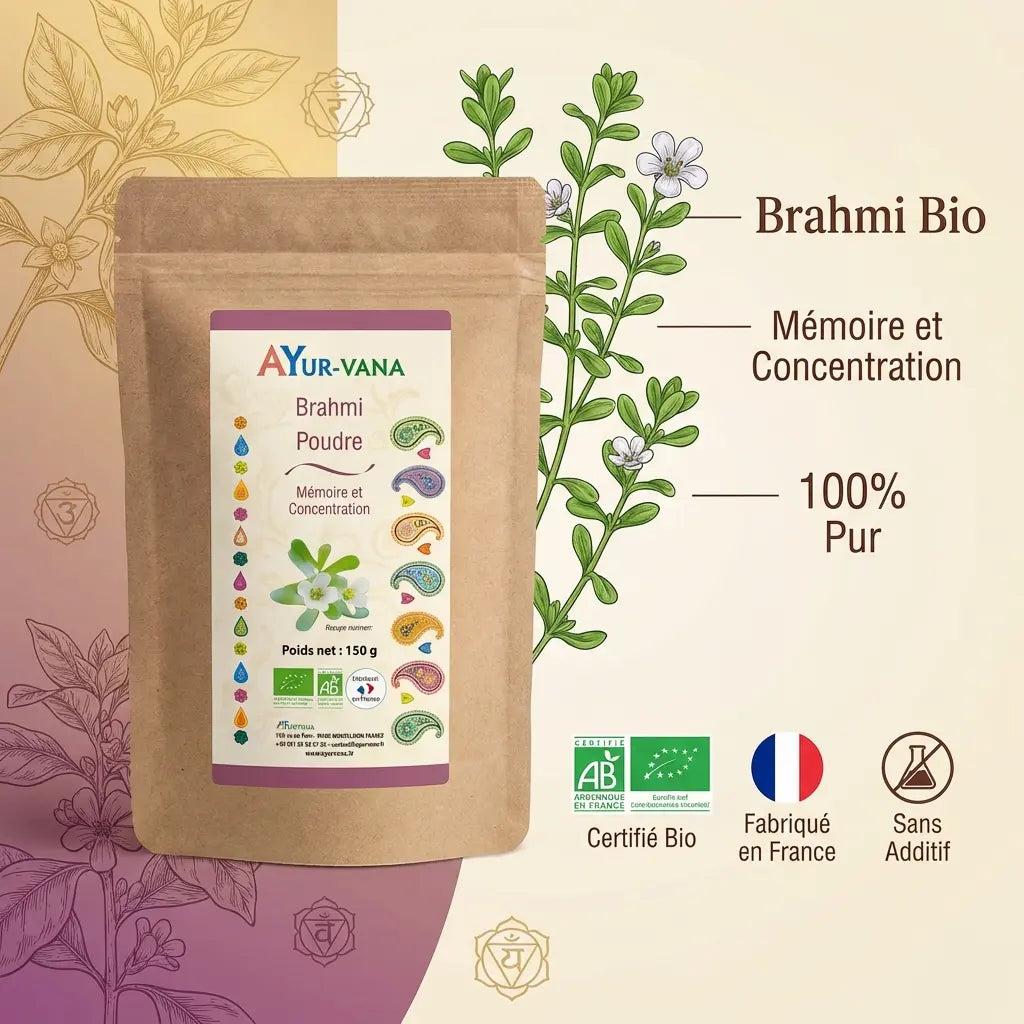 Brahmi bio poudre 150g Ayur Vana - produit certifié pour mémoire et concentration