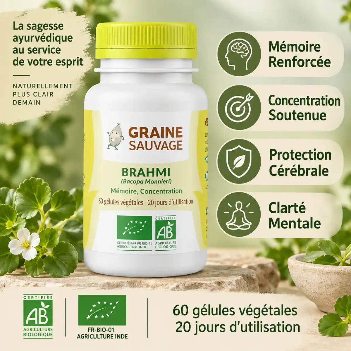 Brahmi bio vegan Graine Sauvage - mémoire, concentration et clarté mentale en 60 gélules
