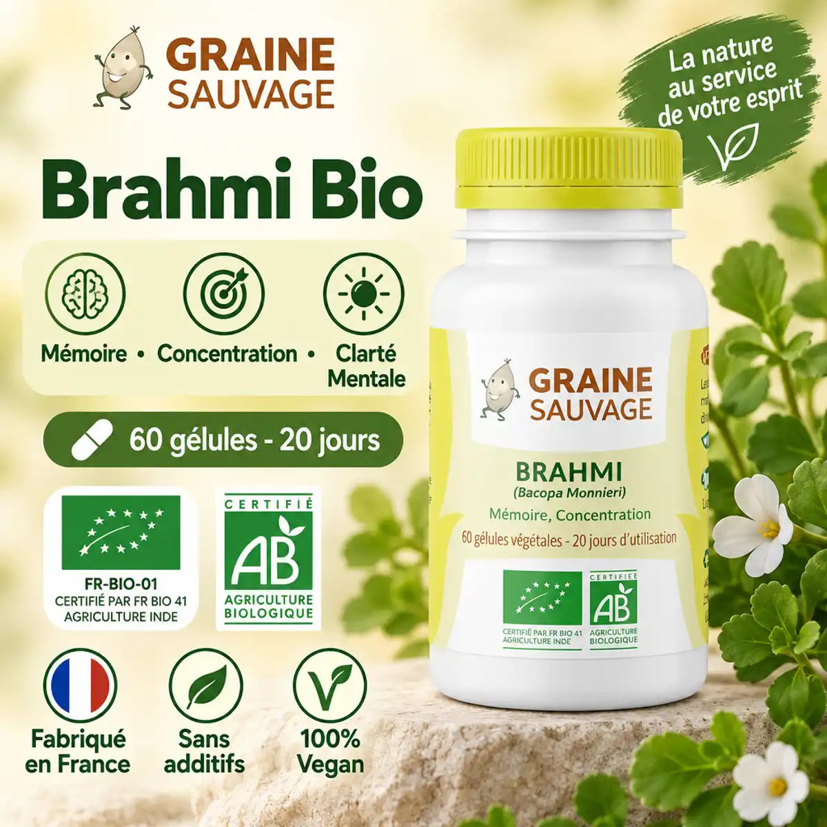 Brahmi Bio gélules Graine Sauvage - flacon 60 capsules vegan certifié AB pour mémoire et concentration