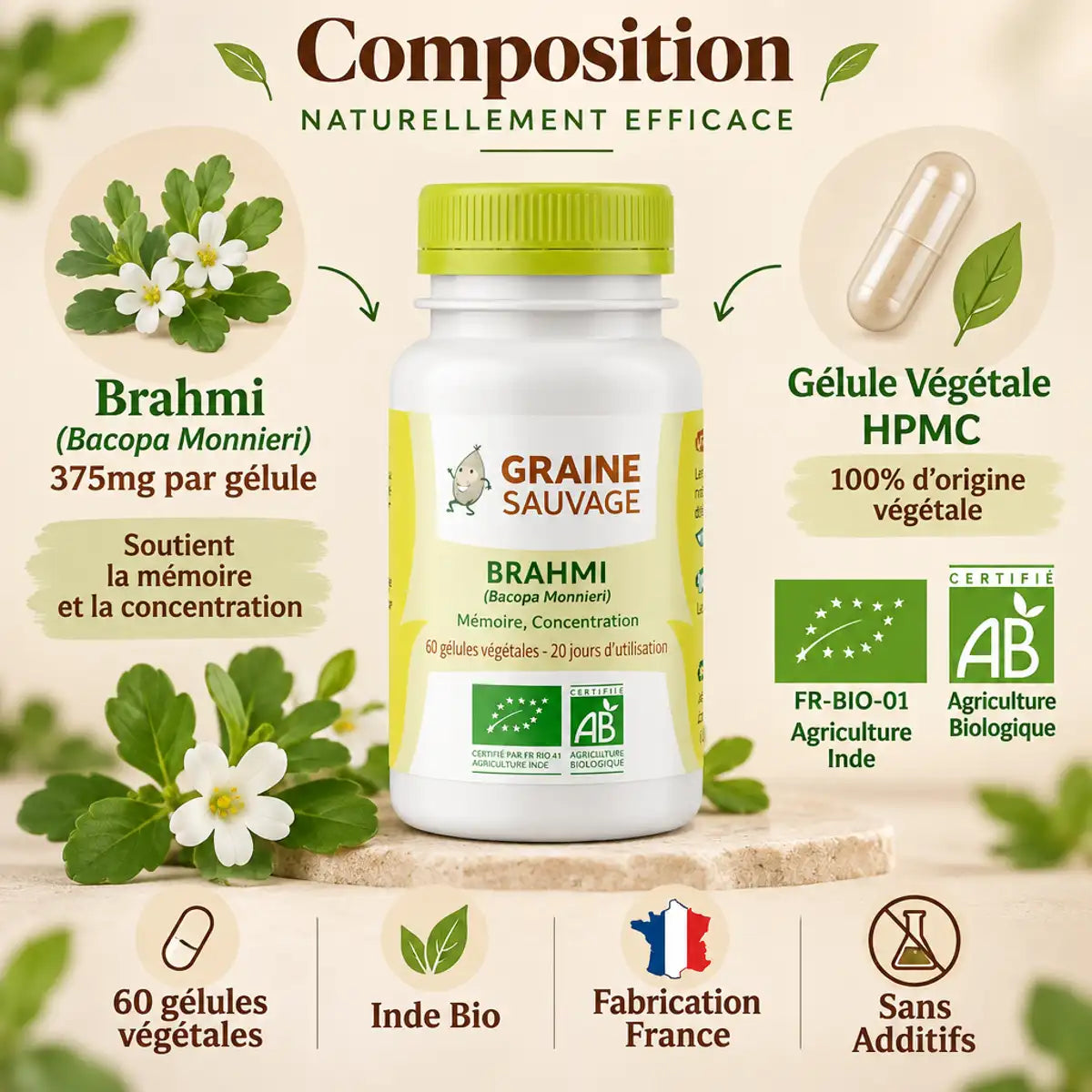 Brahmi bio vegan gélules Graine Sauvage bouteille infographie composition 375mg Bacopa Monnieri