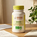 Graine Sauvage Brahmi bio vegan en gélules sur bureau avec notes étude