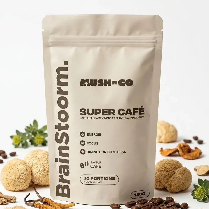 Brainstoorm Super Café champignons adaptogènes Mush N Go avec ingrédients naturels sur fond blanc