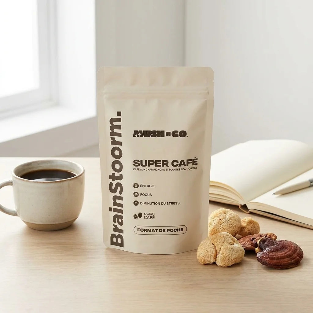 Brainstorm Super Café champignons adaptogènes format poche 42g sur bureau avec tasse et carnet