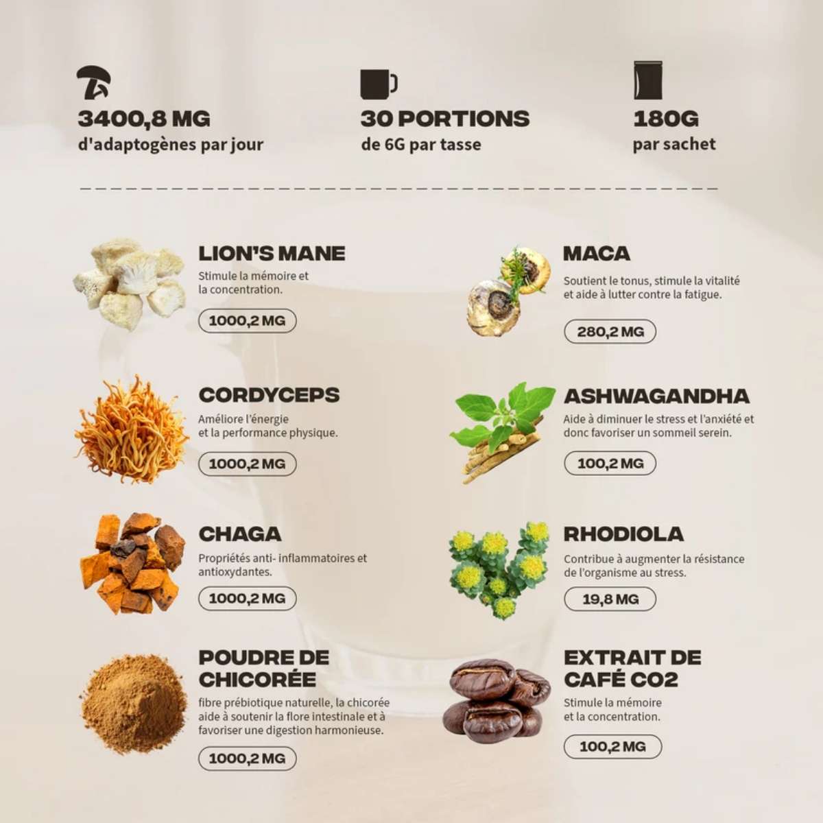 Les principaux ngrédients du Brainstoorm café aux champignons adaptogènes 180g - Mush N Go