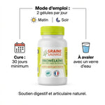 Bromélaïne Graine Sauvage 60 gélules avec posologie 2 gélules par jour et cure 30 jours