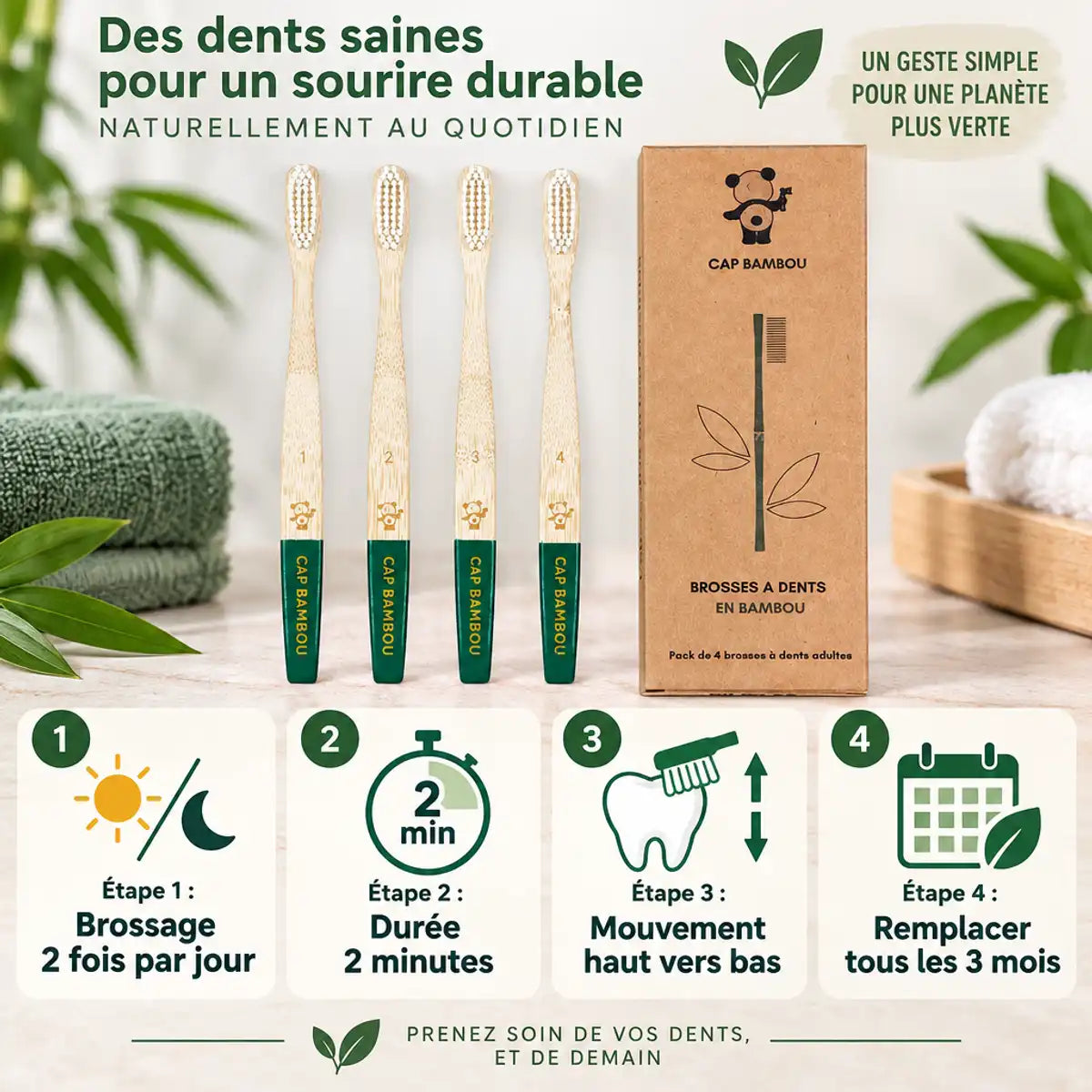 Brosse à dents adulte medium vert Cap Bambou boîte 4 pièces avec guide hygiène dentaire