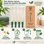 Brosse à dents adulte medium vert Cap Bambou boîte 4 pièces avec guide hygiène dentaire