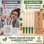 Brosse à dents adulte medium vert numérotée Cap Bambou, boîte de 4 avec cap bambou, écologique et compostable