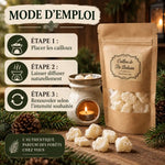 Cailloux de Fir Balsam avec guide d'utilisation, diffuseur et branches de sapin sur surface bois