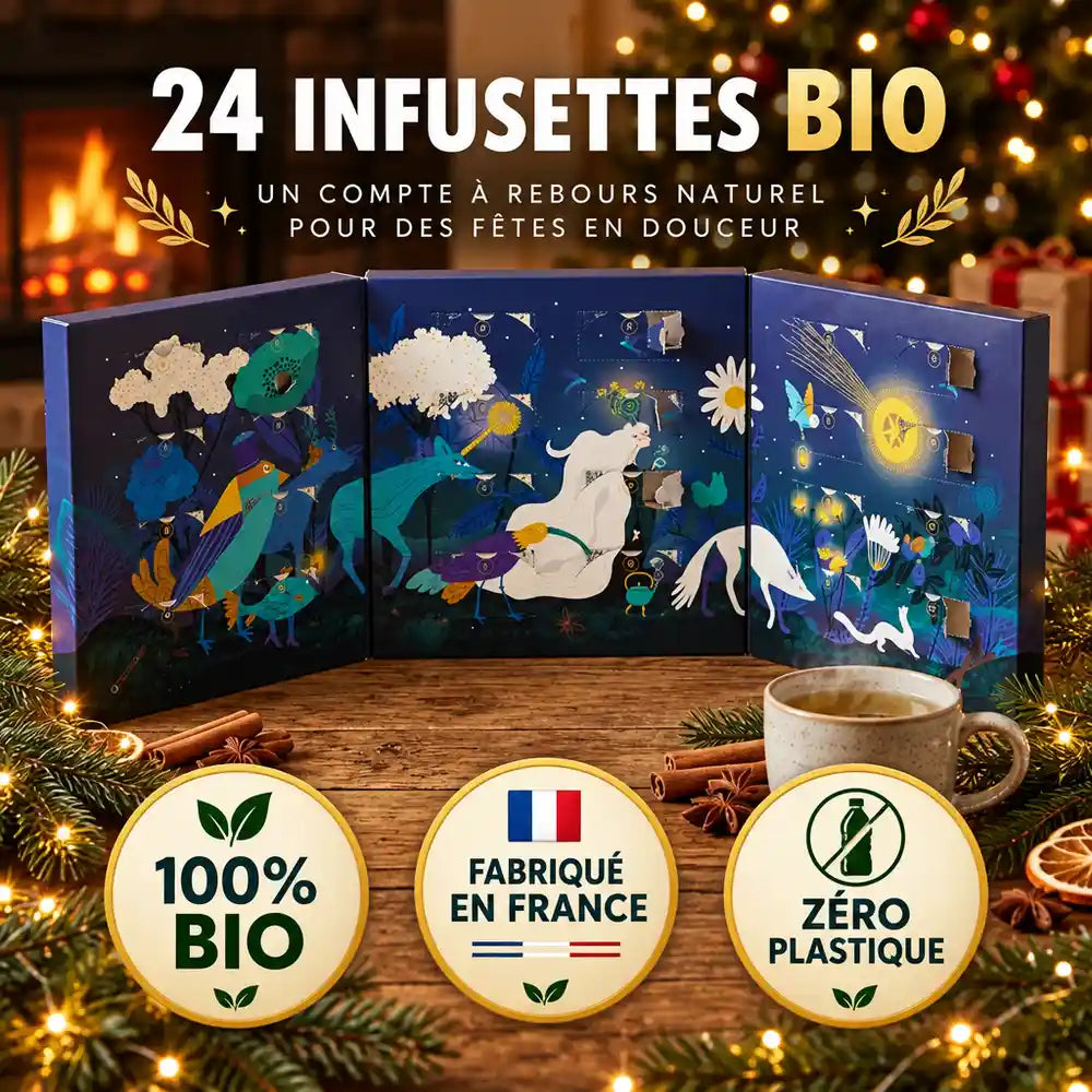 Calendrier de l'Avent Nuit Biohême : 24 infusettes bio sur table en bois, tisane, cannelle et sapin décoré