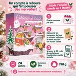 Calendrier de l'Avent potager Dr Jonquille & Mr Ail : mode d'emploi en 3 étapes, 24 sachets de graines bio, 390 g