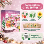Calendrier de l'Avent potager bio Dr Jonquille & Mr Ail : composition du coffret, 24 sachets de semences légumes, aromatiques et fleurs