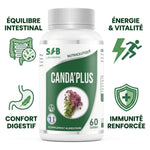 Canda'Plus 60 gélules complément alimentaire à base d'origan pour équilibre intestinal et immunité