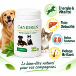 Canidren draineur hépatique et rénal pour chiens et chats - 100 comprimés Labo Demeter avec bénéfices santé