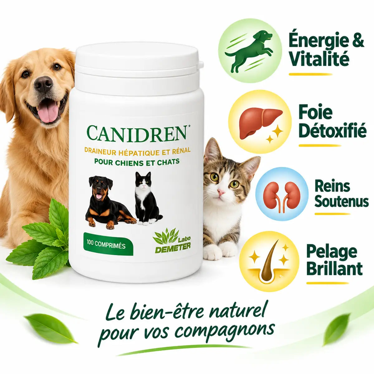 Canidren draineur hépatique et rénal pour chiens et chats - 100 comprimés Labo Demeter avec bénéfices santé