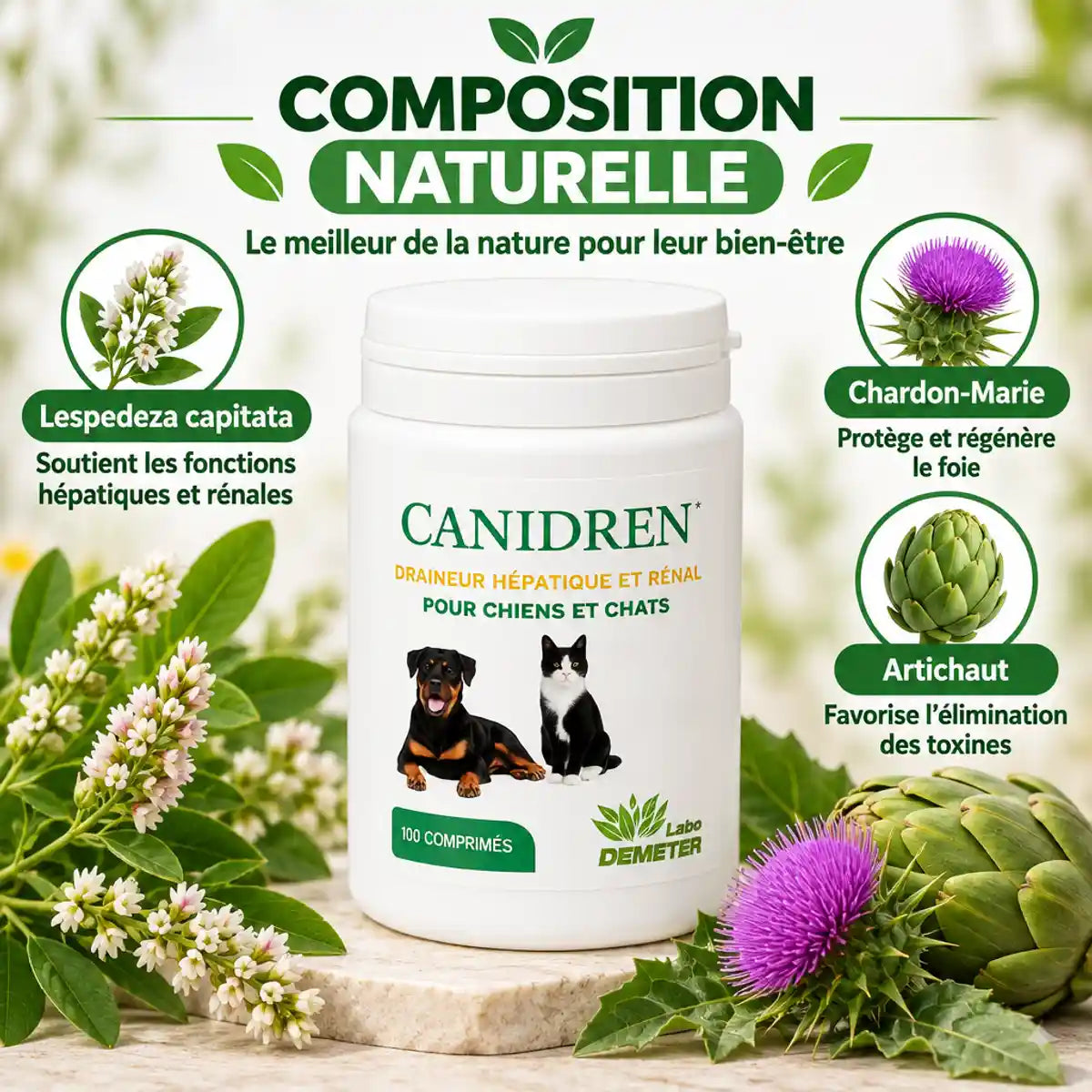 Canidren draineur hépatique rénal chien chat avec ingrédients naturels Lespedeza Chardon-Marie Artichaut