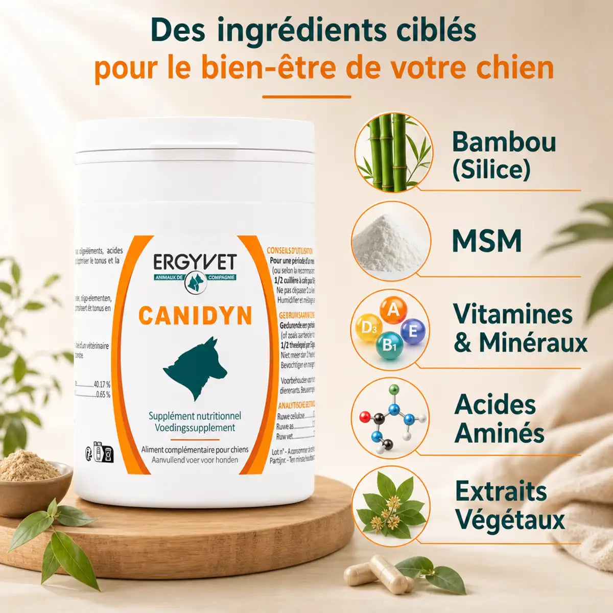 Canidyn supplément nutritionnel chien 110g Ergyvet avec ingrédients bambou MSM vitamines minéraux