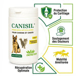 Canisil anti-inflammatoire arthrose chien chat avec bénéfices mobilité et soulagement douleurs