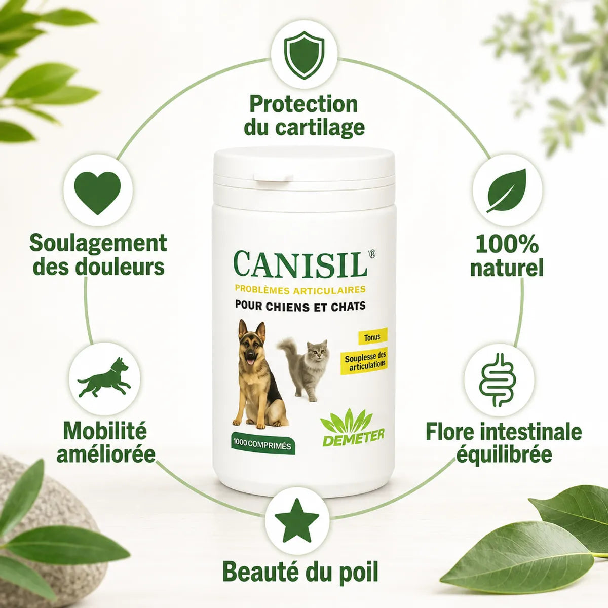 Canisil anti-inflammatoire pour chien et chat - Flacon avec bénéfices : protection cartilage, mobilité, récupération