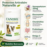 Canisil 1000 comprimés anti-inflammatoire avec ingrédients naturels pour arthrose chien chat