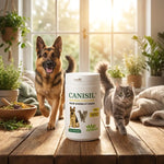 Canisil 1000 comprimés anti-inflammatoire avec chien et chat, bien-être articulaire naturel