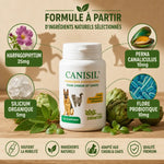 Canisil 200 comprimés anti-inflammatoire avec ingrédients naturels pour arthrose chien chat