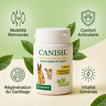 Canisil 60 comprimés anti-inflammatoire arthrose chien chat avec icônes mobilité confort cartilage vitalité