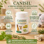 Canisil 60 comprimés anti-inflammatoire arthrose chien chat avec bénéfices mobilité et confort articulaire