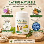 Canisil 60 comprimés anti-inflammatoire arthrose chien chat avec ingrédients naturels Harpagophytum