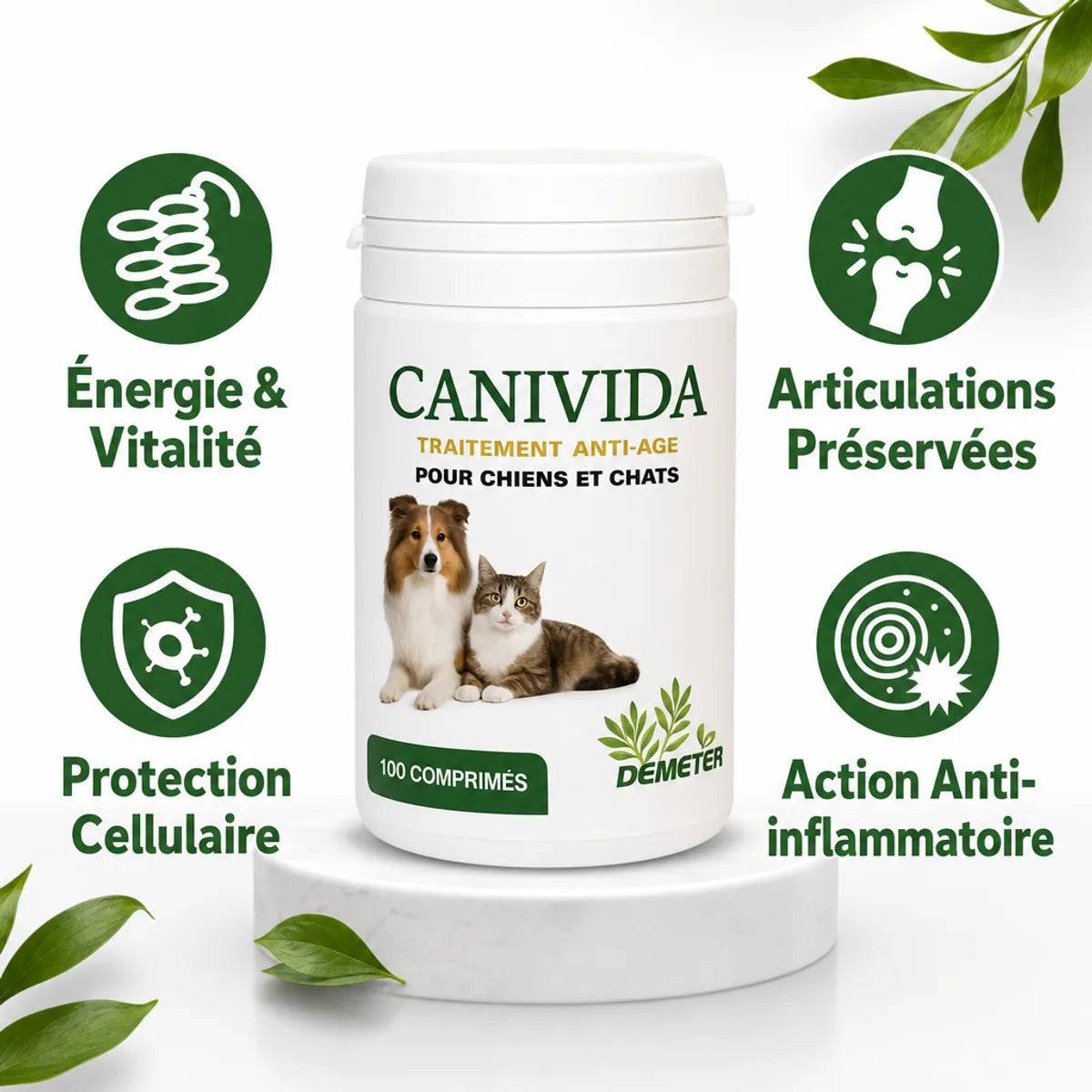Canivida complément naturel chien chat avec bénéfices anti-âge articulations énergie Labo-Demeter