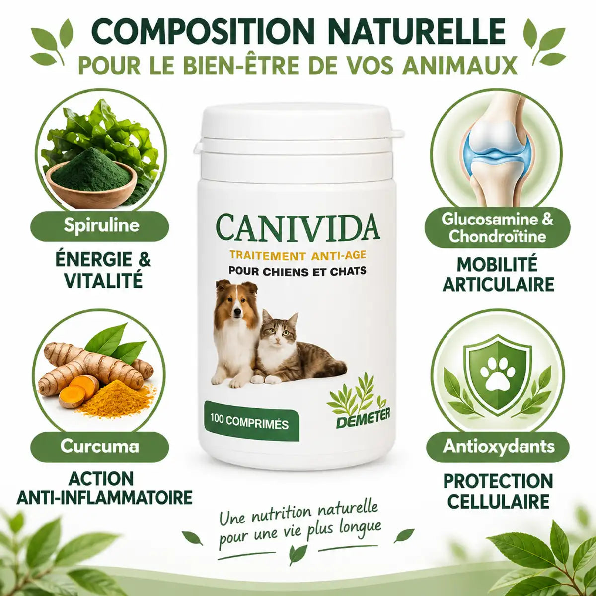 Canivida 100 comprimés anti-âge naturel chien chat avec spiruline glucosamine curcuma antioxydants