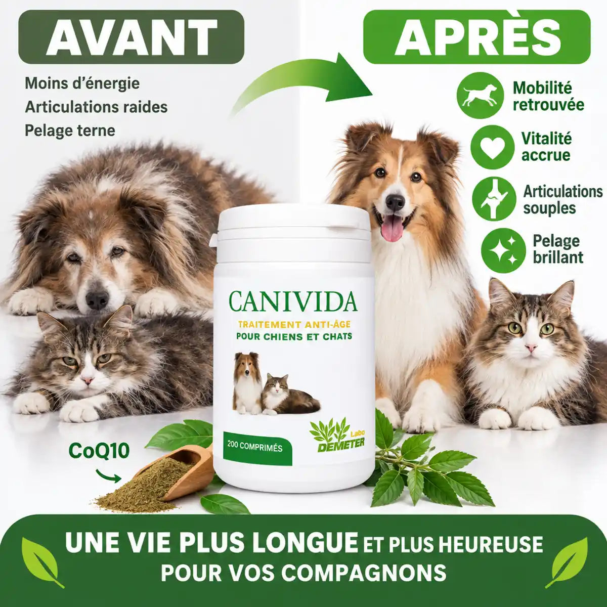 Canivida 200 comprimés avant après chien chat mobilité vitalité articulations pelage